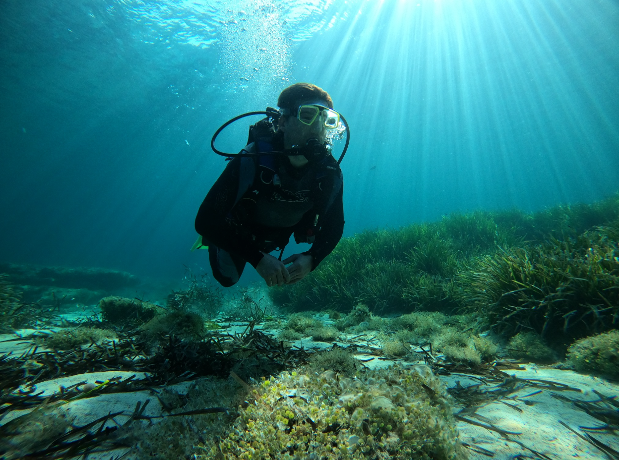 PADI Open Water Diver Course Porto Petro, Mallorca gallery 4