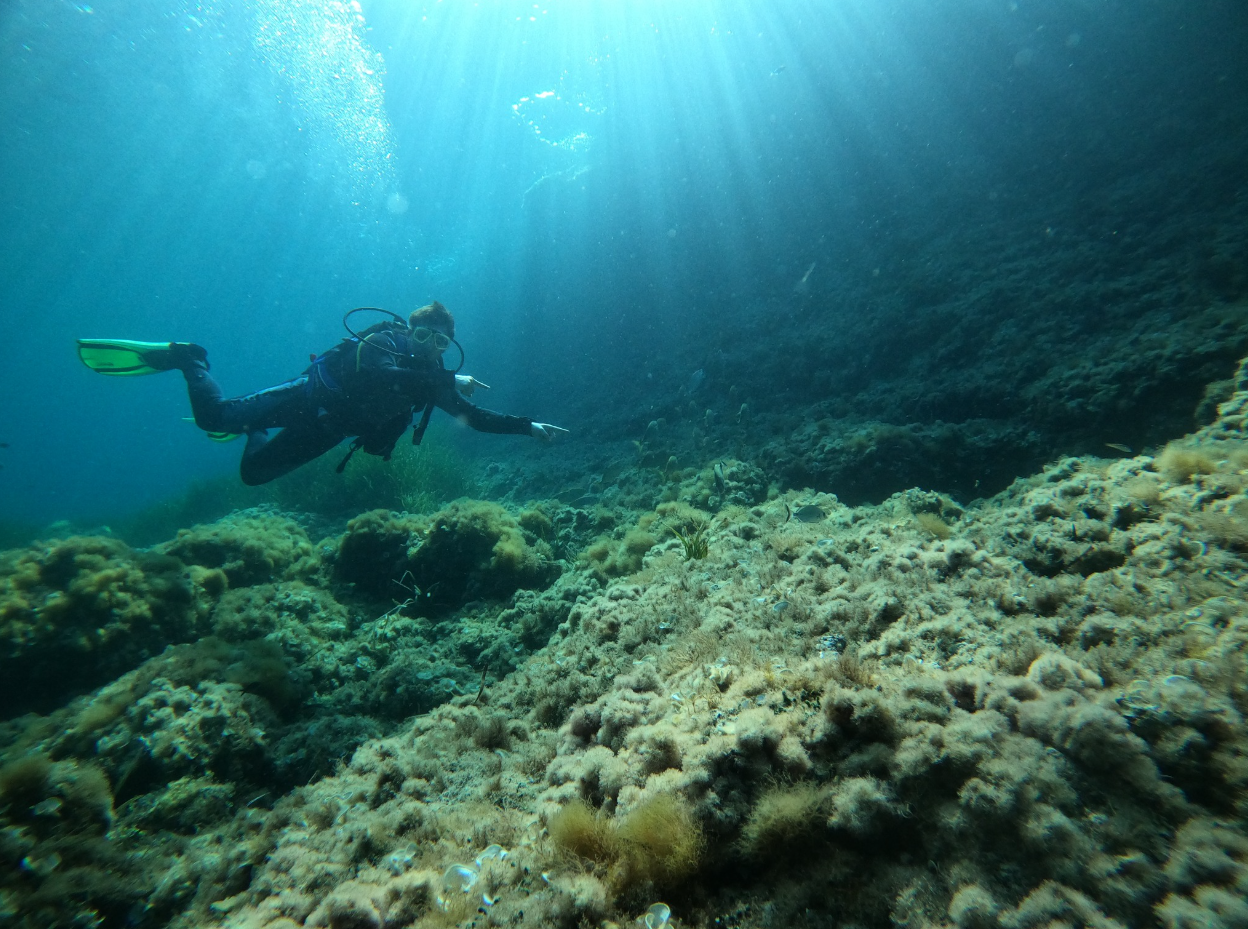 PADI Scuba Diver Course in Porto Petro, Mallorca, photo 5