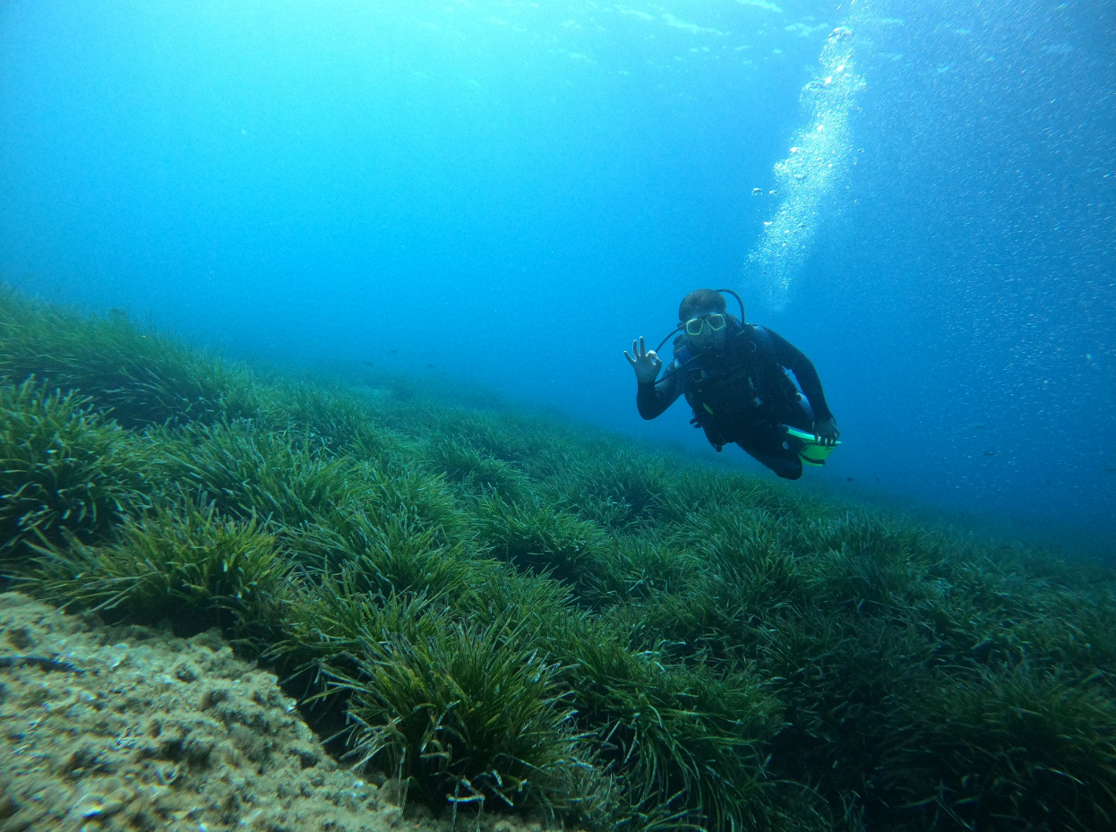 PADI Open Water Diver Course Porto Petro, Mallorca, photo 4