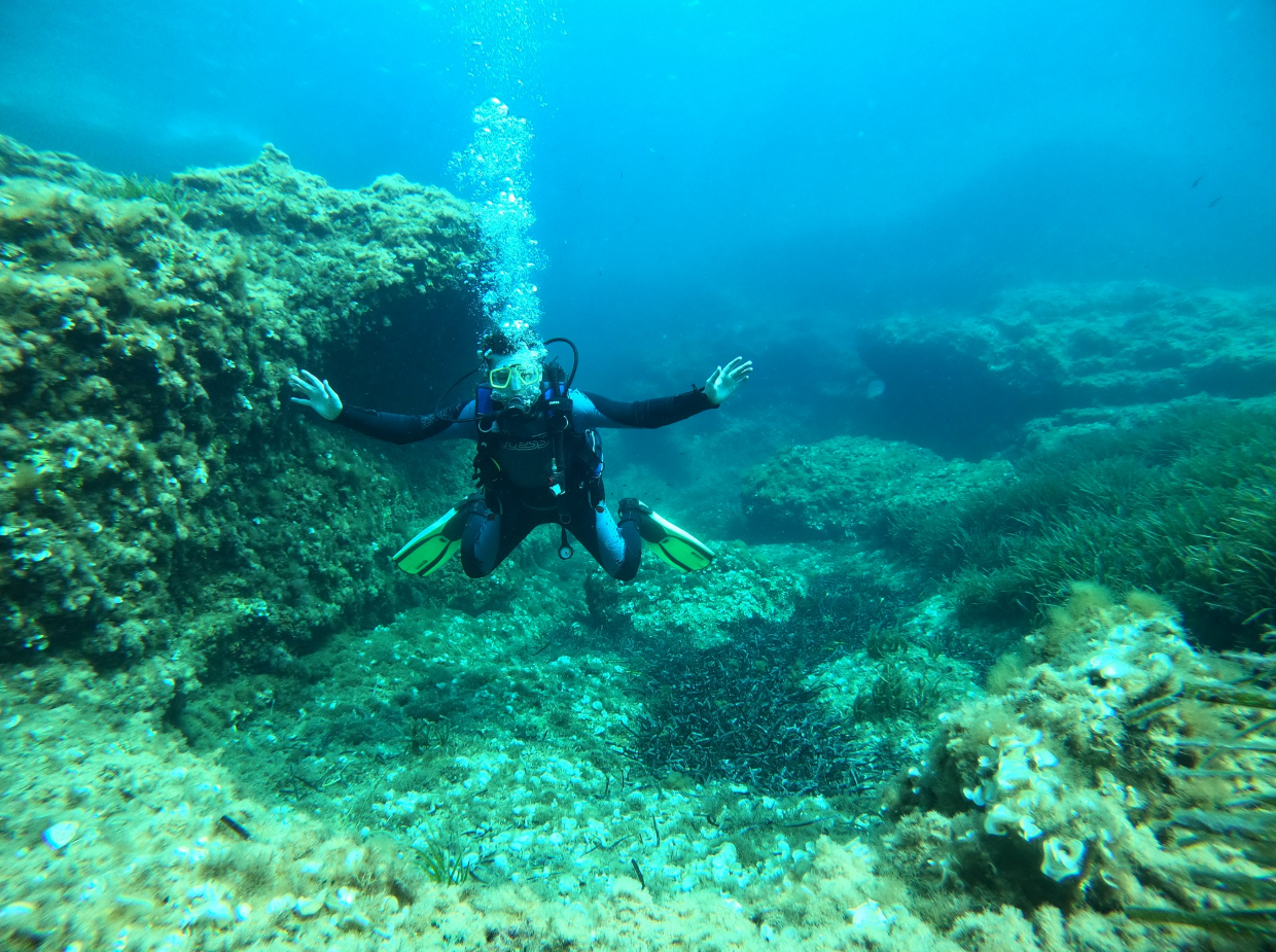 PADI Advanced Open Water Diver Course in Porto Petro, Mallorca, photo 5