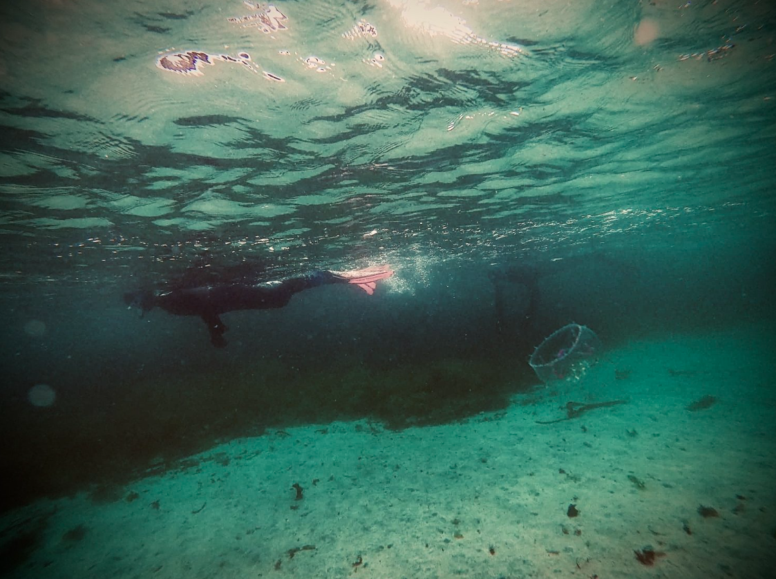 Island to Island: 5-Day Snorkel Expedition in the Small Isles gallery 6