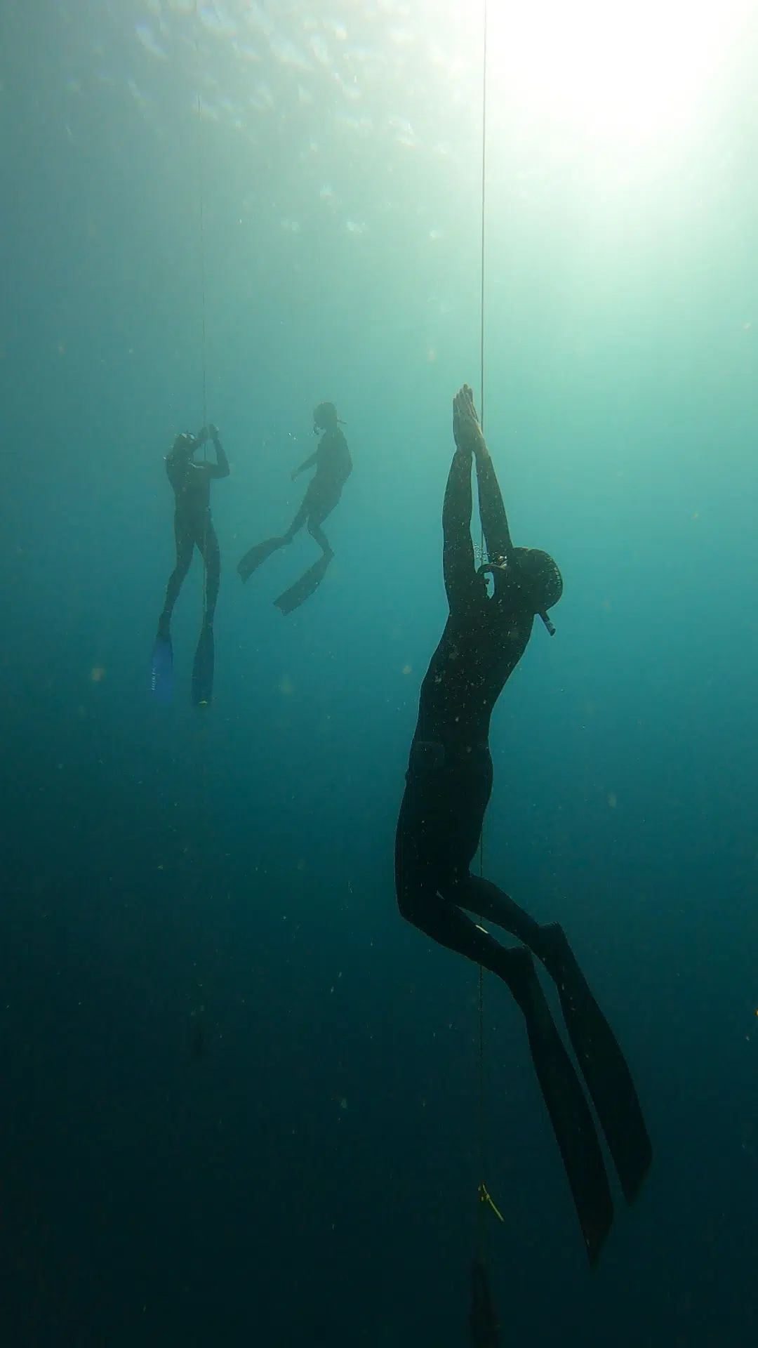 AIDA Level 2 Basic Freediving Course in Lanzarote gallery 13