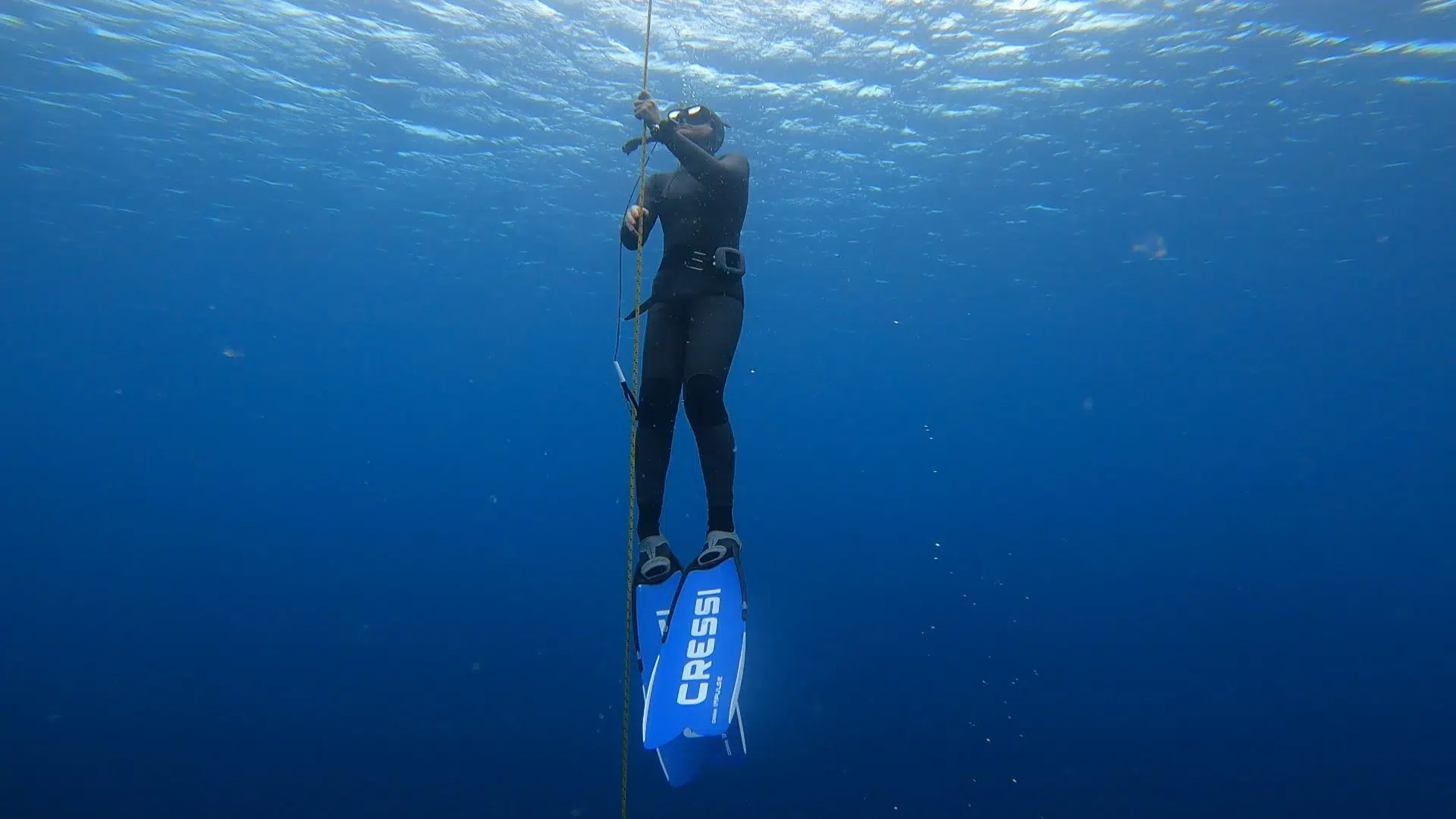 Introduction to Freediving in Lanzarote gallery 9