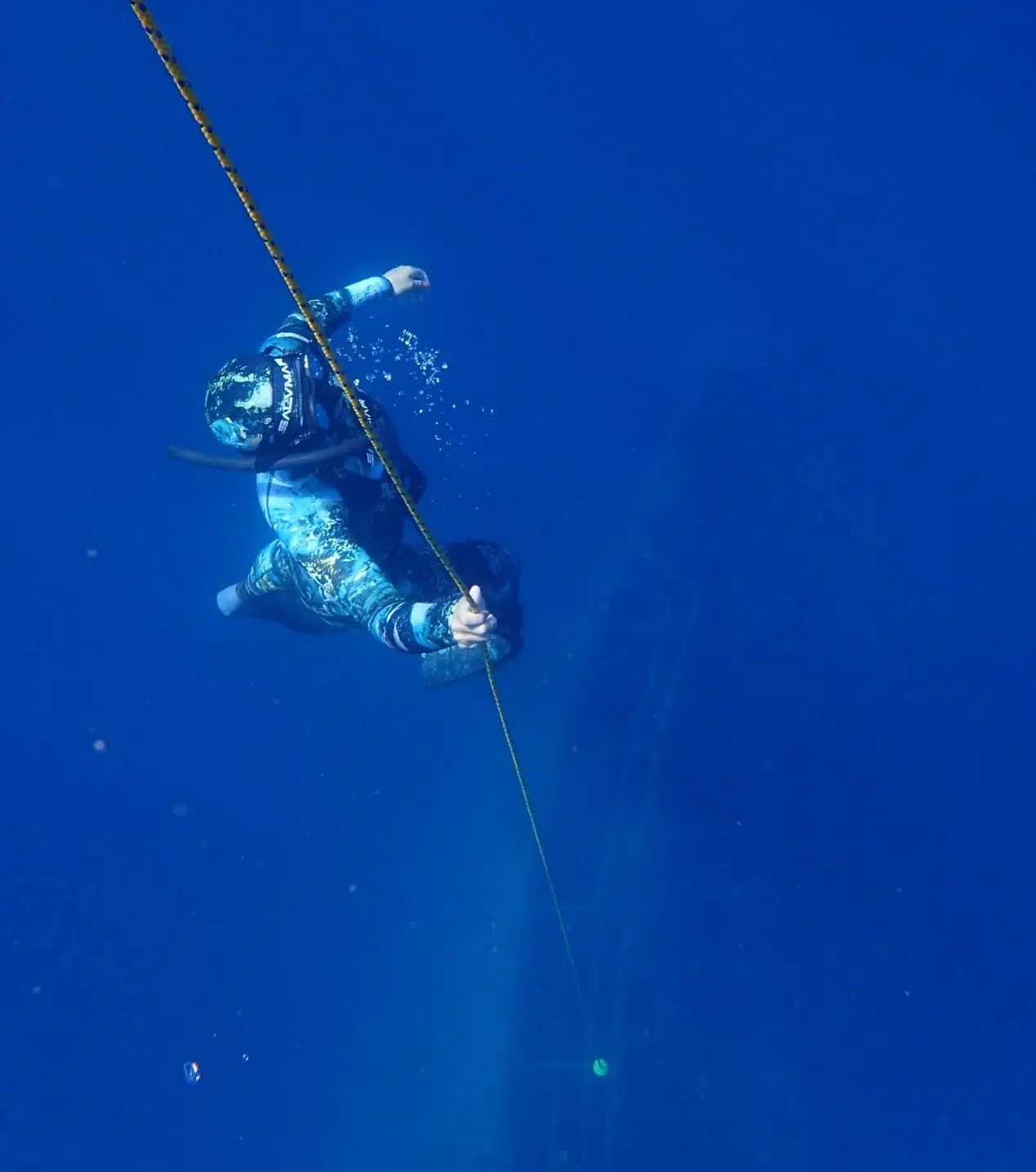 Snorkeling Experience in Lanzarote, photo 4