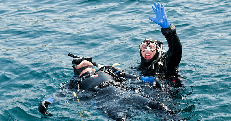 PADI Rescue Diver Course in Porto Petro, Mallorca, listing photo
