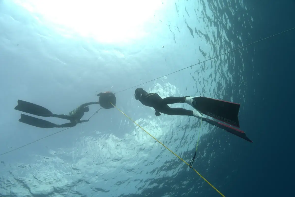 AIDA Level 2 Basic Freediving Course in Lanzarote, photo 3