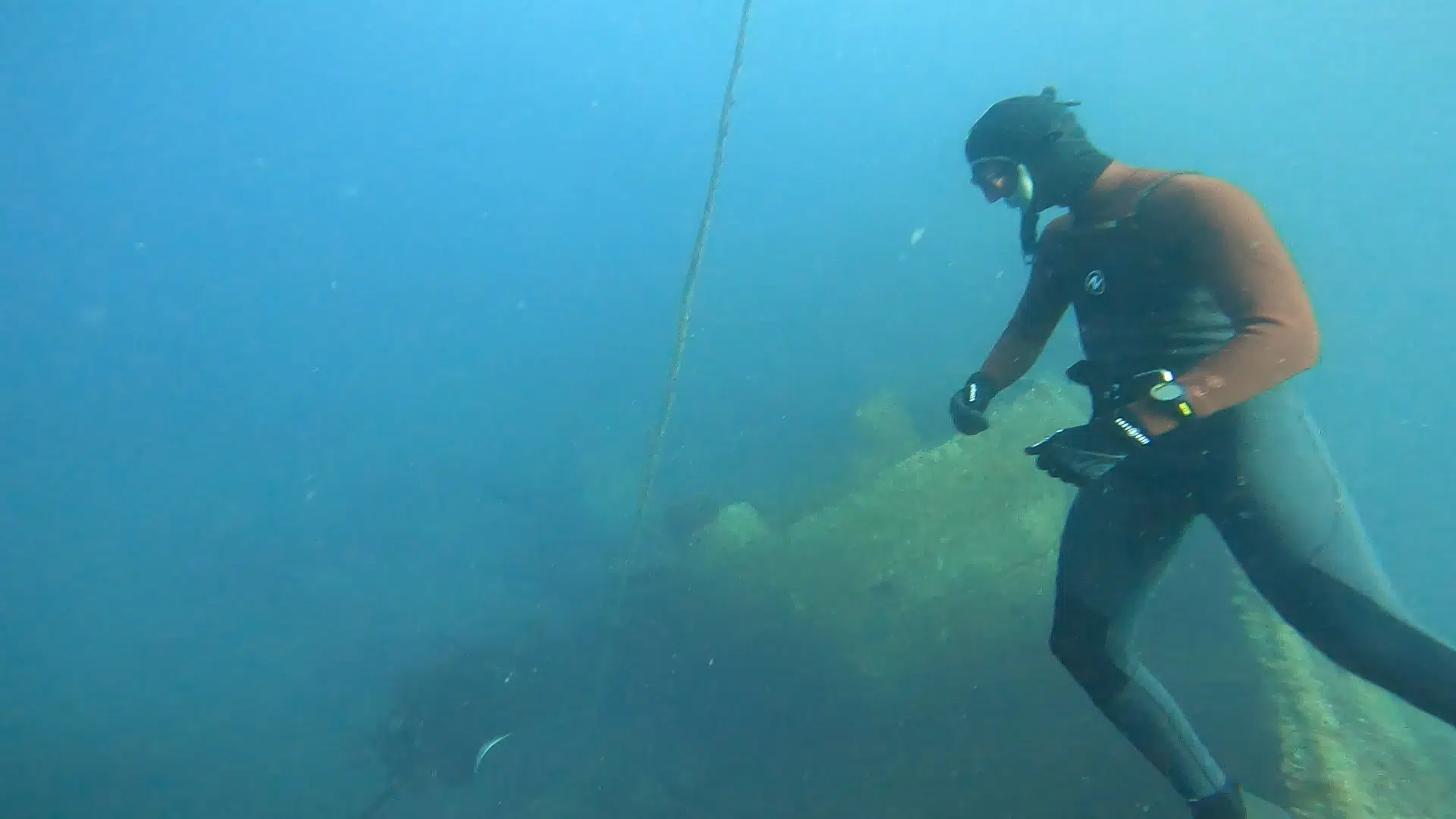 Introduction to Freediving in Lanzarote gallery 10