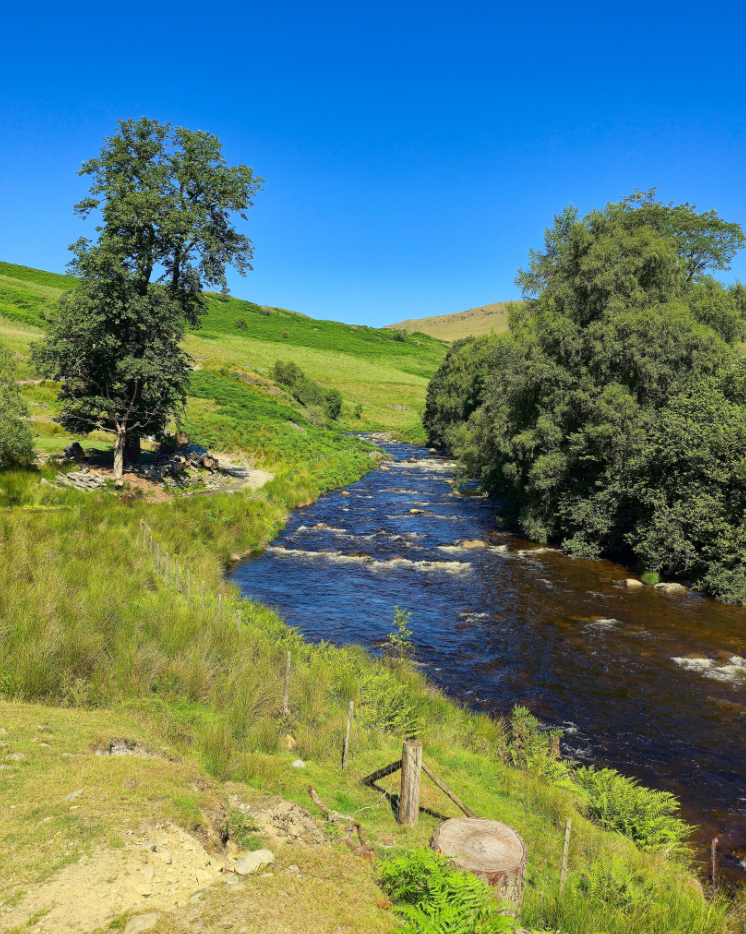 Elan Valley E-Mountain Biking Tour in Mid Wales gallery 7