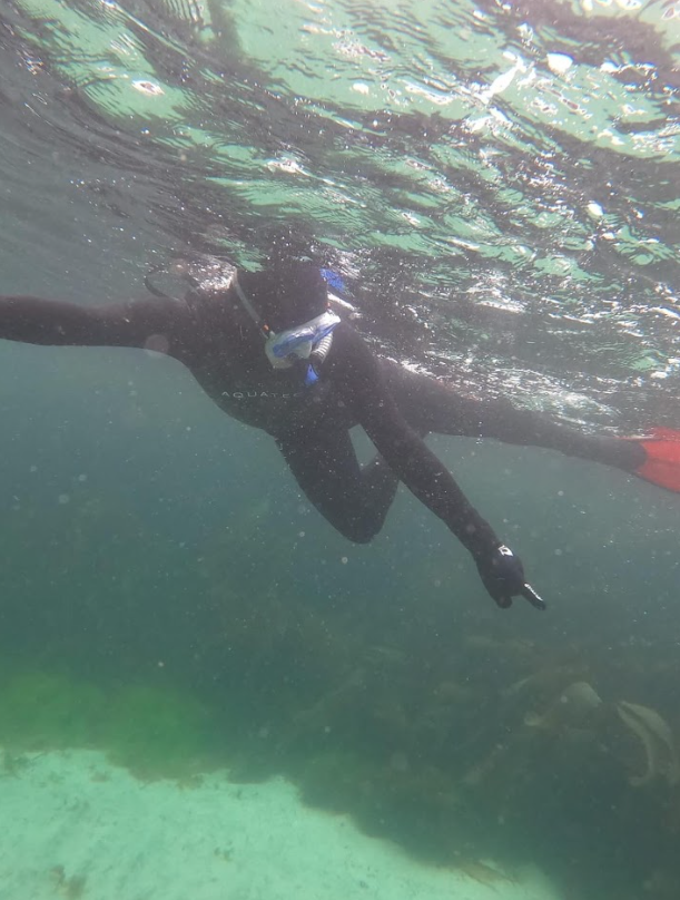 Island to Island: 5-Day Snorkel Expedition in the Small Isles gallery 8