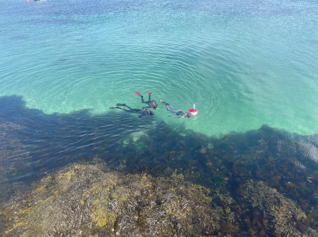 Island to Island: 5-Day Snorkel Expedition in the Small Isles, photo 4