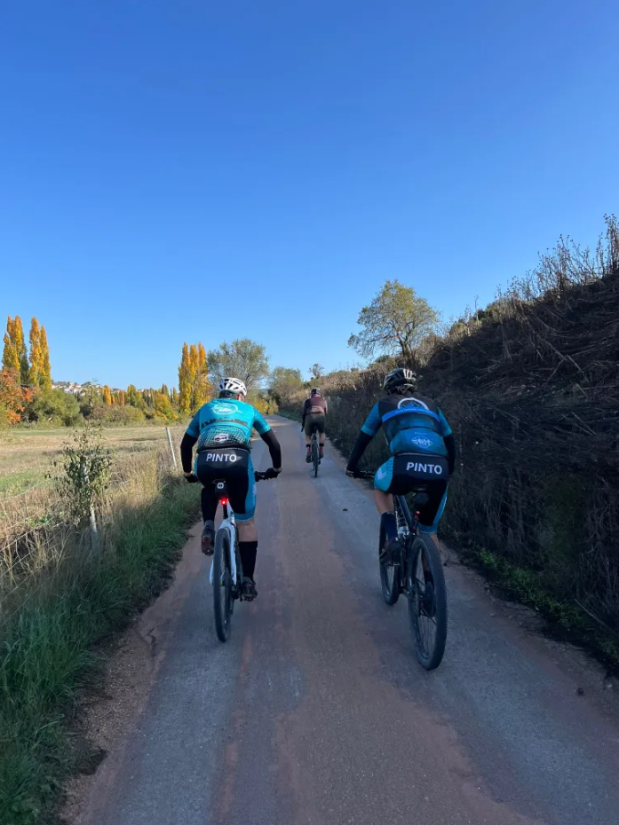 E-Bike/ Road / Gravel Bike in Madrid gallery 5