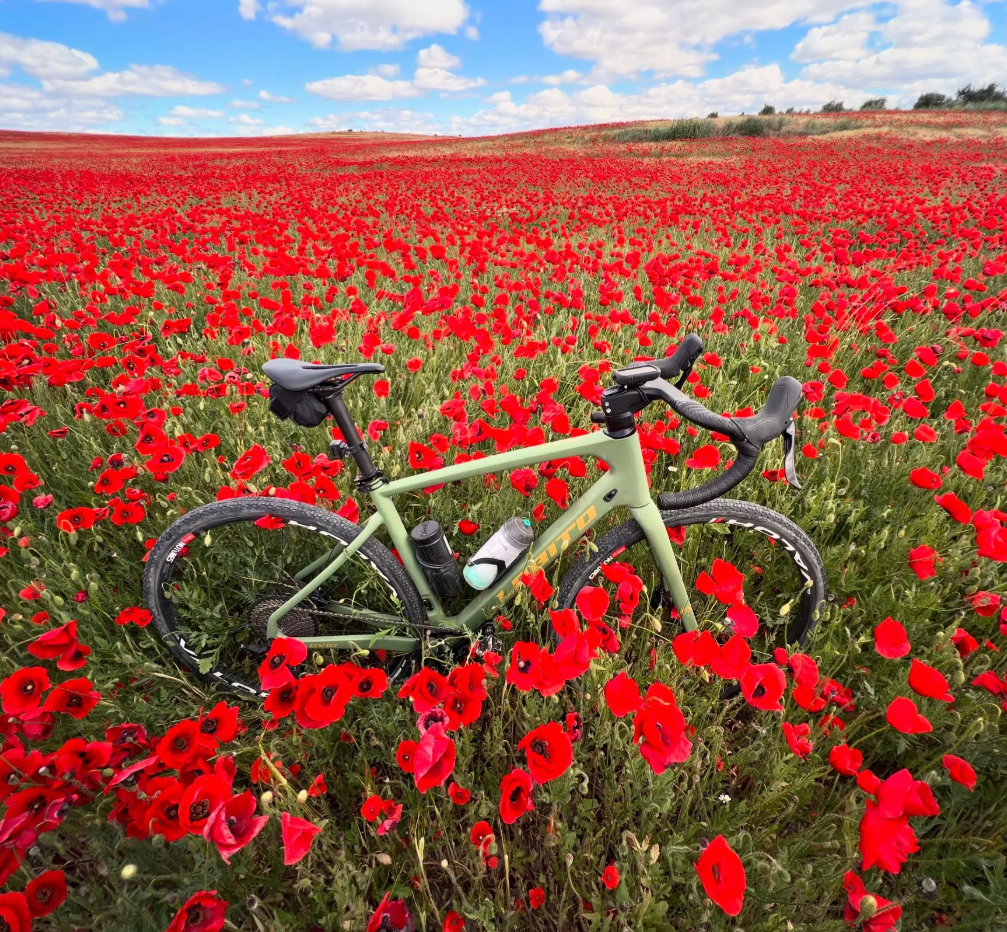 E-Bike/ Road / Gravel Bike in Madrid gallery 4