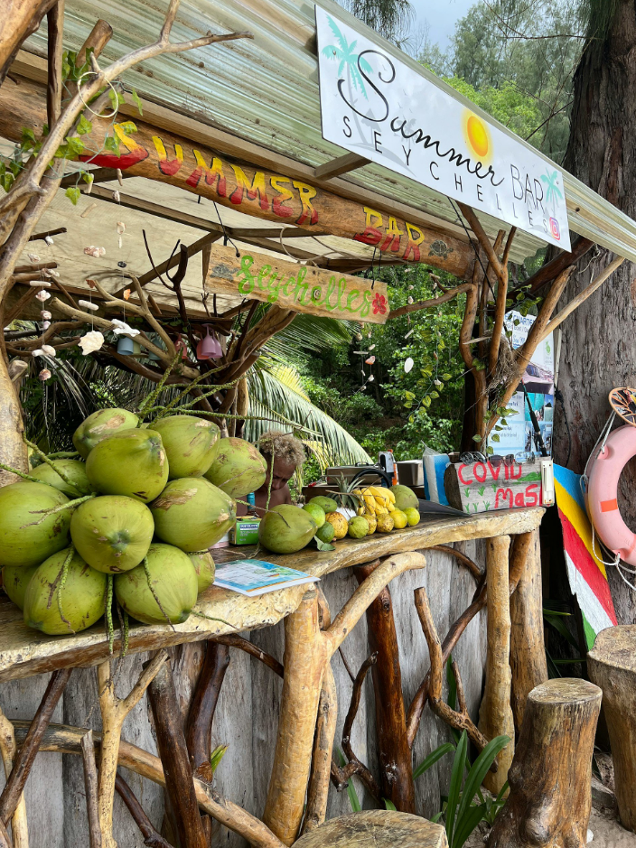Zanzibar to Seychelles Offshore Sailing Adventure gallery 4