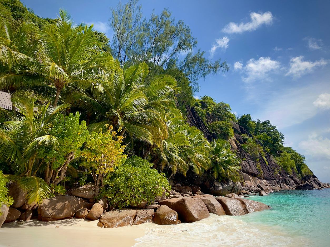 Zanzibar to Seychelles Offshore Sailing Adventure gallery 6