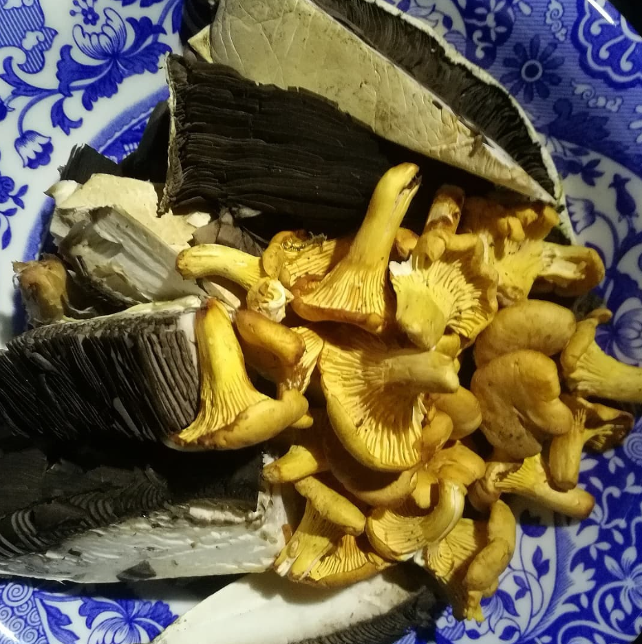 A Weekend in the Woods – Bushcraft, Foraging & Campfire Living on Dartmoor gallery 2