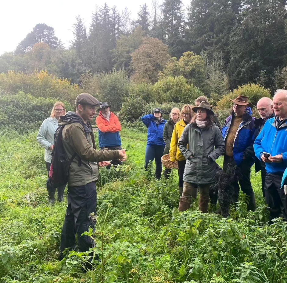 A Weekend in the Woods – Bushcraft, Foraging & Campfire Living on Dartmoor gallery 3