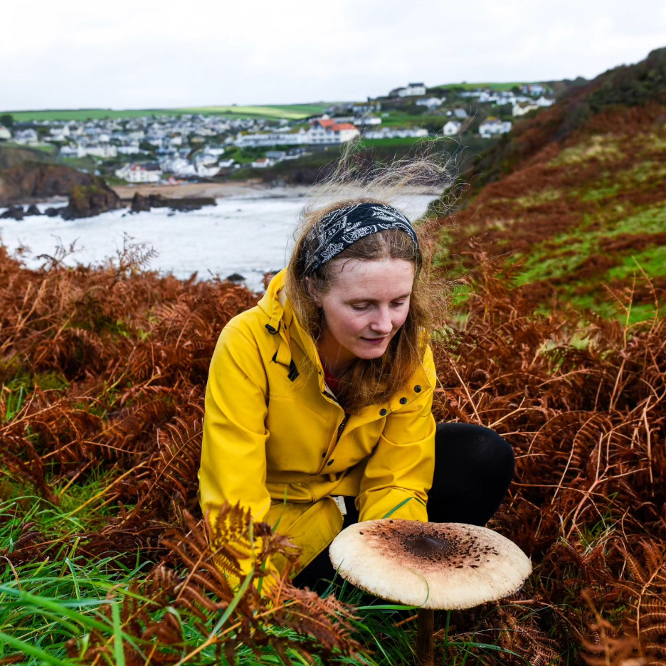 A Weekend in the Woods – Bushcraft, Foraging & Campfire Living on Dartmoor gallery 4