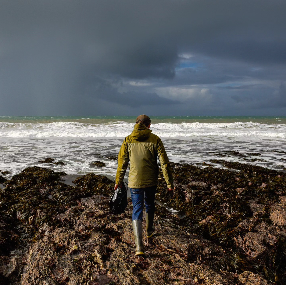 Escape to the Sea – Coastal Bushcraft & Foraging Course in Devon, listing photo