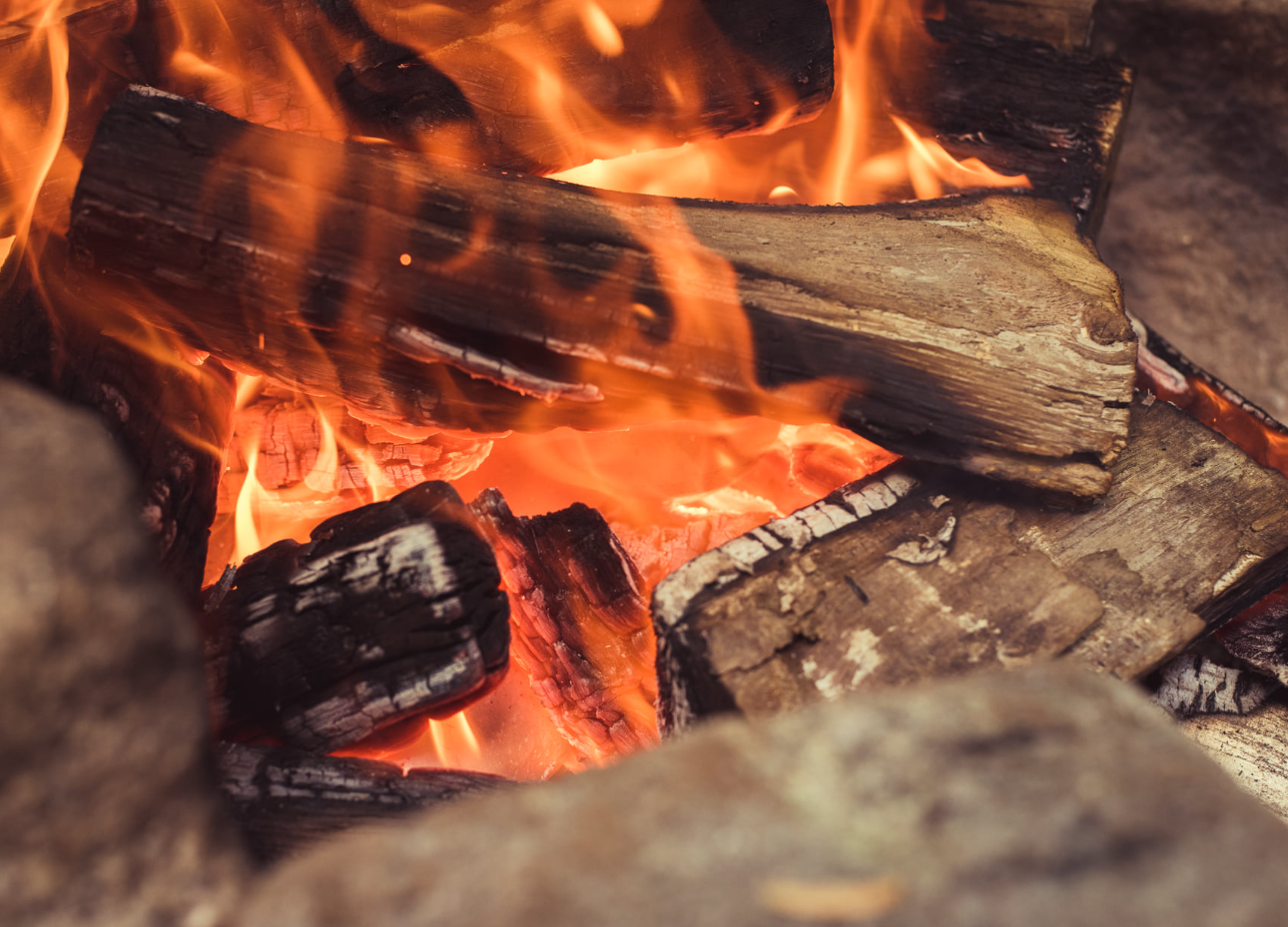 Bushcraft Mastery Weekend in Westcott Woods, Chagford gallery 4