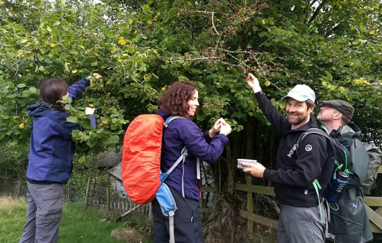 Bushcraft Mastery Weekend in Westcott Woods, Chagford gallery 10