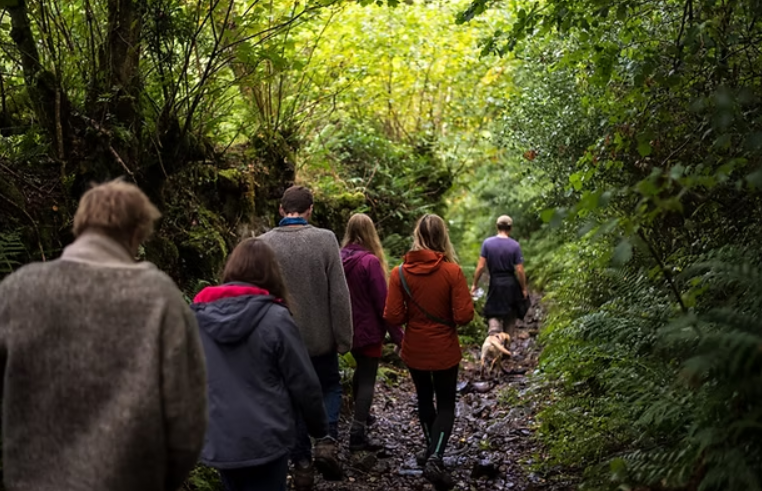 Bushcraft Mastery Weekend in Westcott Woods, Chagford, photo 4