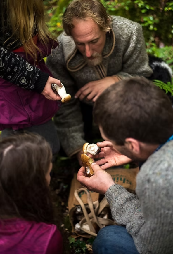Day in the Woods Bushcraft Experience in Westcott Woods, Chagford, photo 2