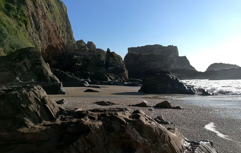 Escape to the Sea – Coastal Bushcraft & Foraging Course in Devon gallery 2