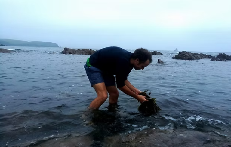 Escape to the Sea – Coastal Bushcraft & Foraging Course in Devon, photo 2
