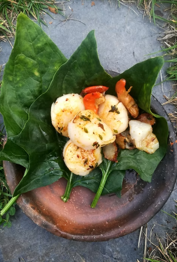 Escape to the Sea – Coastal Bushcraft & Foraging Course in Devon gallery 3