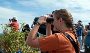 Atlas Mountains Hike and Birdwatching in Morocco gallery 4