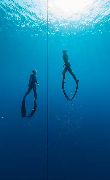 7-Day Sailing & Freediving Expedition with William Winram in Croatia, photo 3