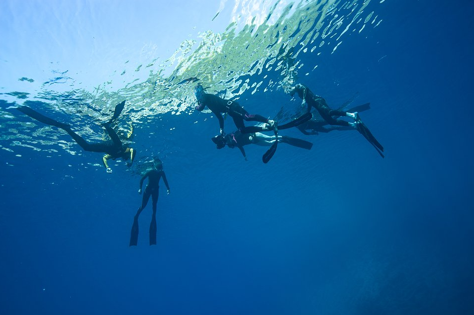 7-Day Sailing & Freediving Expedition with William Winram in Croatia gallery 4