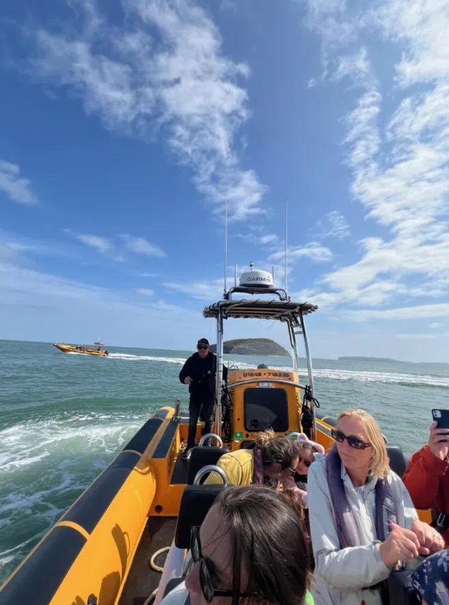 RIB Tour – Explore Puffin Island gallery 8