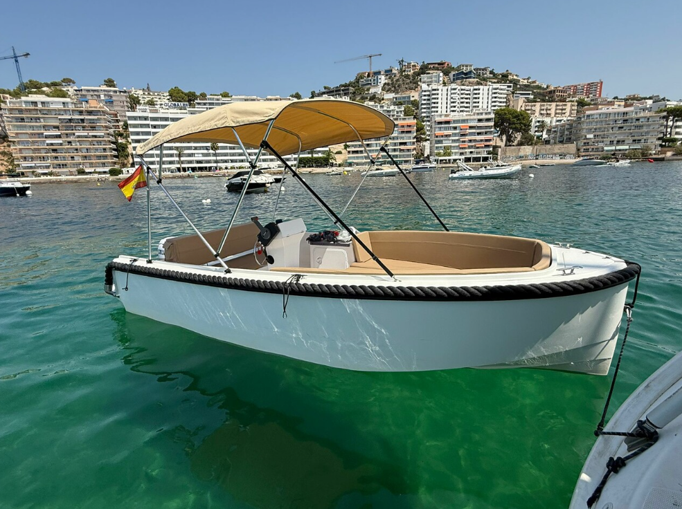 Boat Rental, No Licence Needed in Mallorca gallery 5