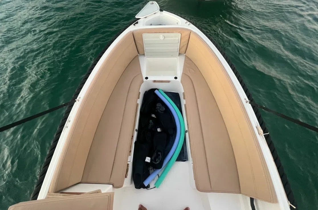 Boat Rental, No Licence Needed in Mallorca gallery 8