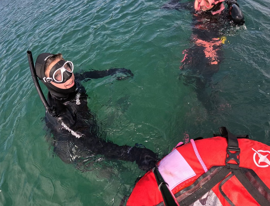 SSI Marine Ecologist Freediver Course in Chester, listing photo