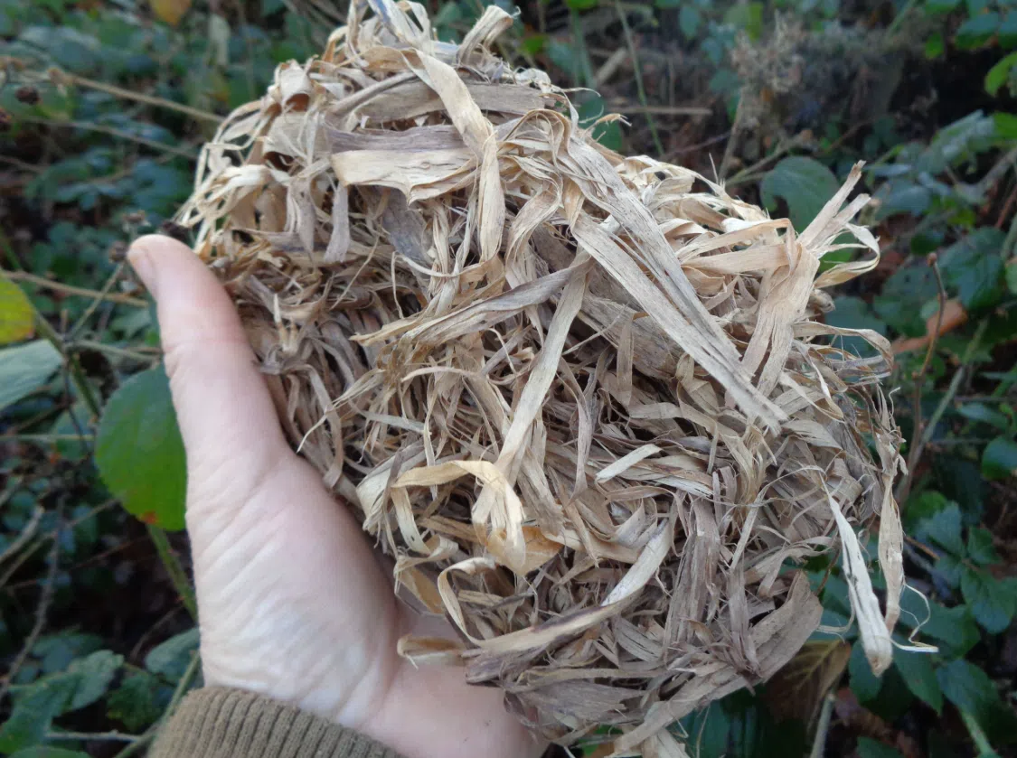 1-Day Bushcraft Skills Course – Kent Downs gallery 9