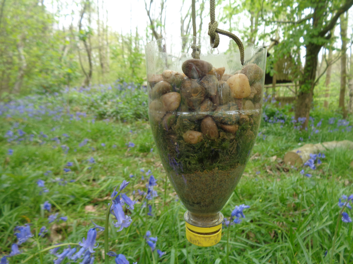 2-Day Bushcraft Course in Kent gallery 9