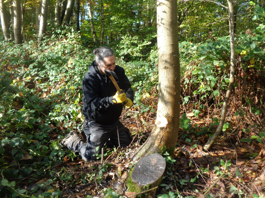5-Day Bushcraft Course in Kent, photo 4
