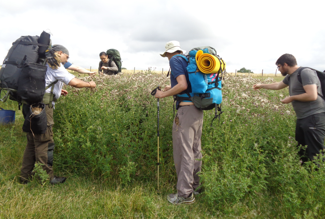 Wayfarer’s Bushcraft Weekend in Kent, photo 2