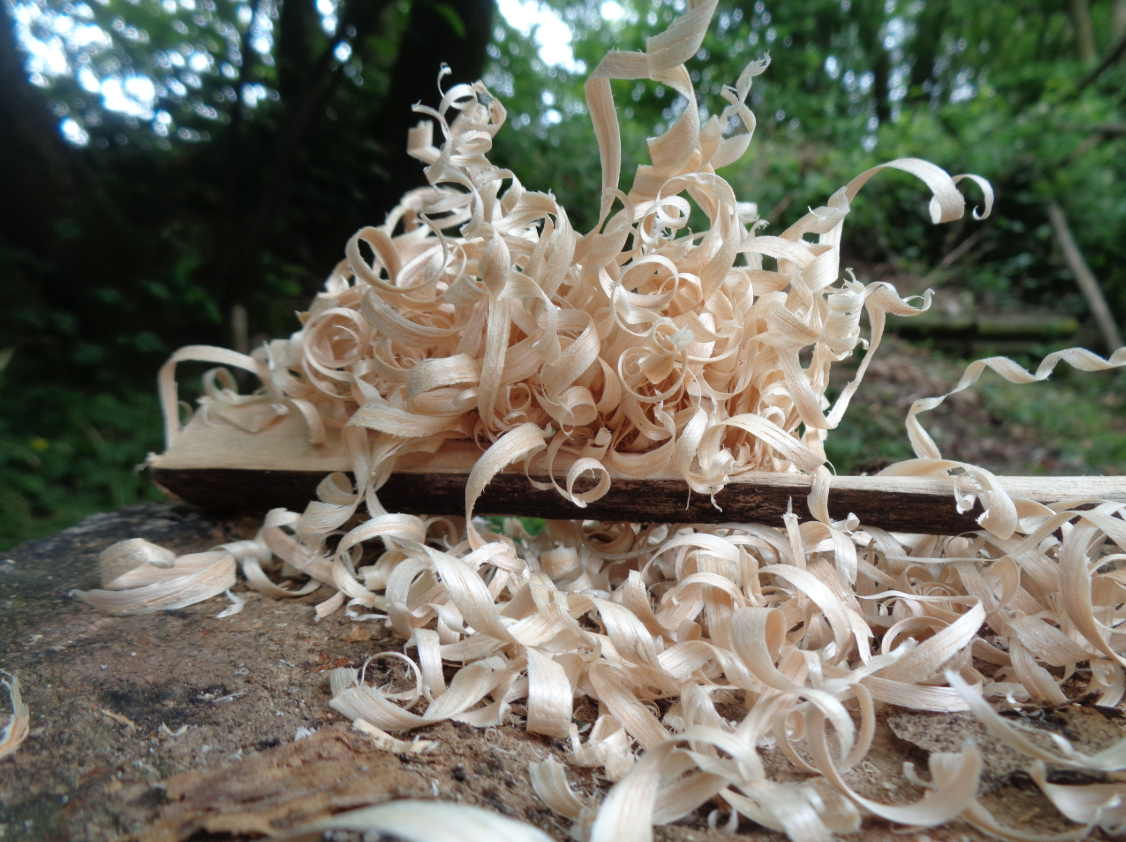 Wayfarer’s Bushcraft Weekend in Kent gallery 2