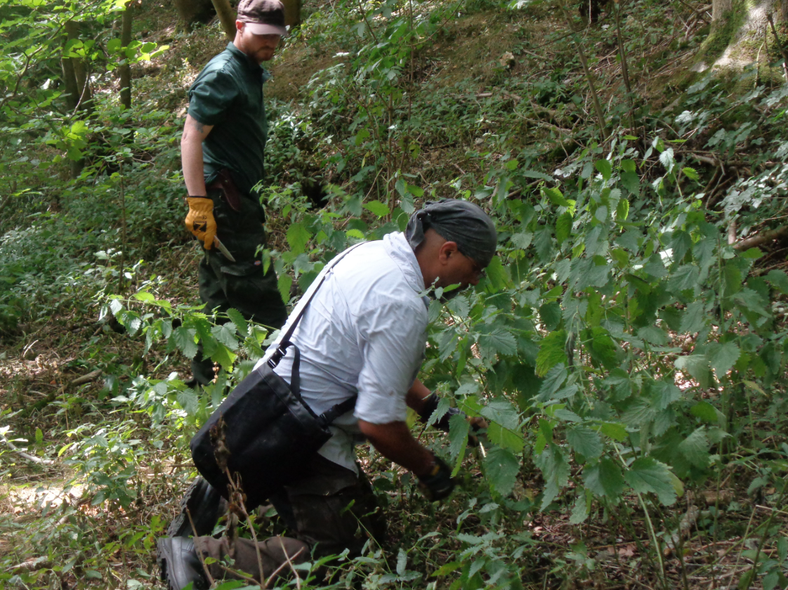 Wayfarer’s Bushcraft Weekend in Kent gallery 6