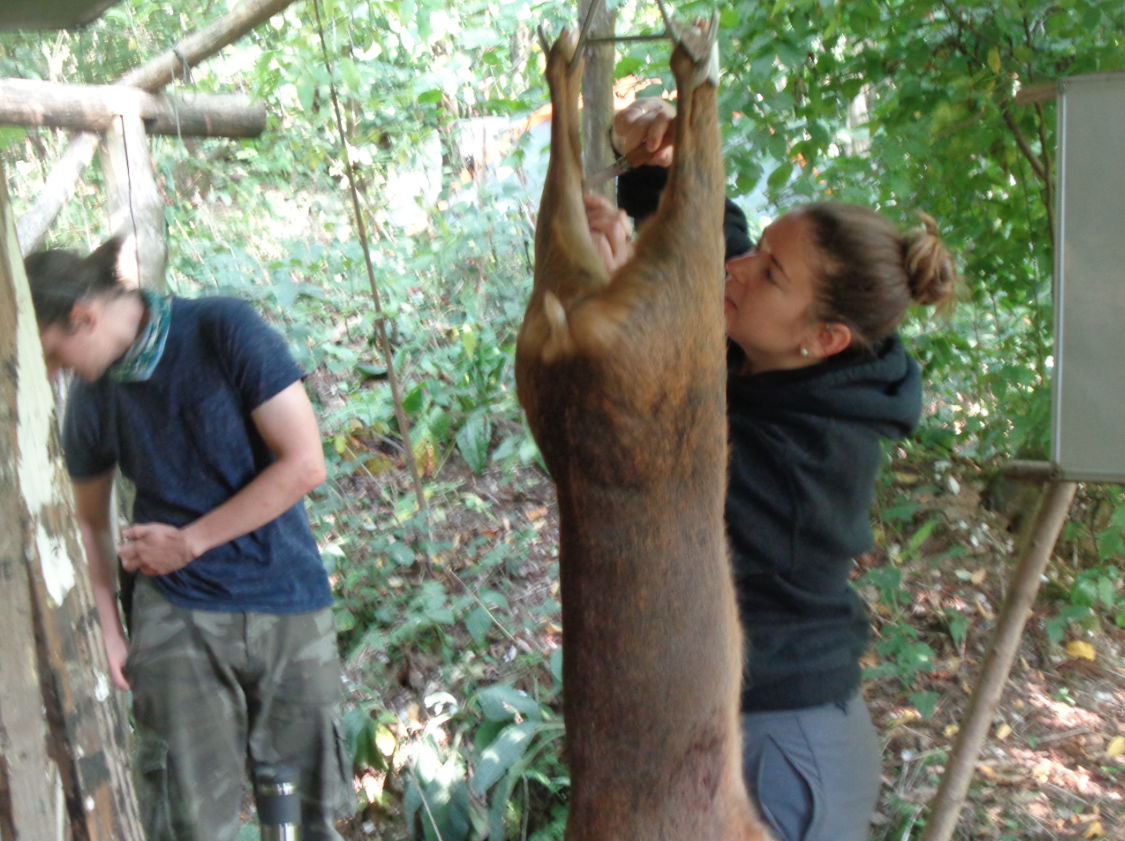 Deer Butchery Course in Kent, photo 3