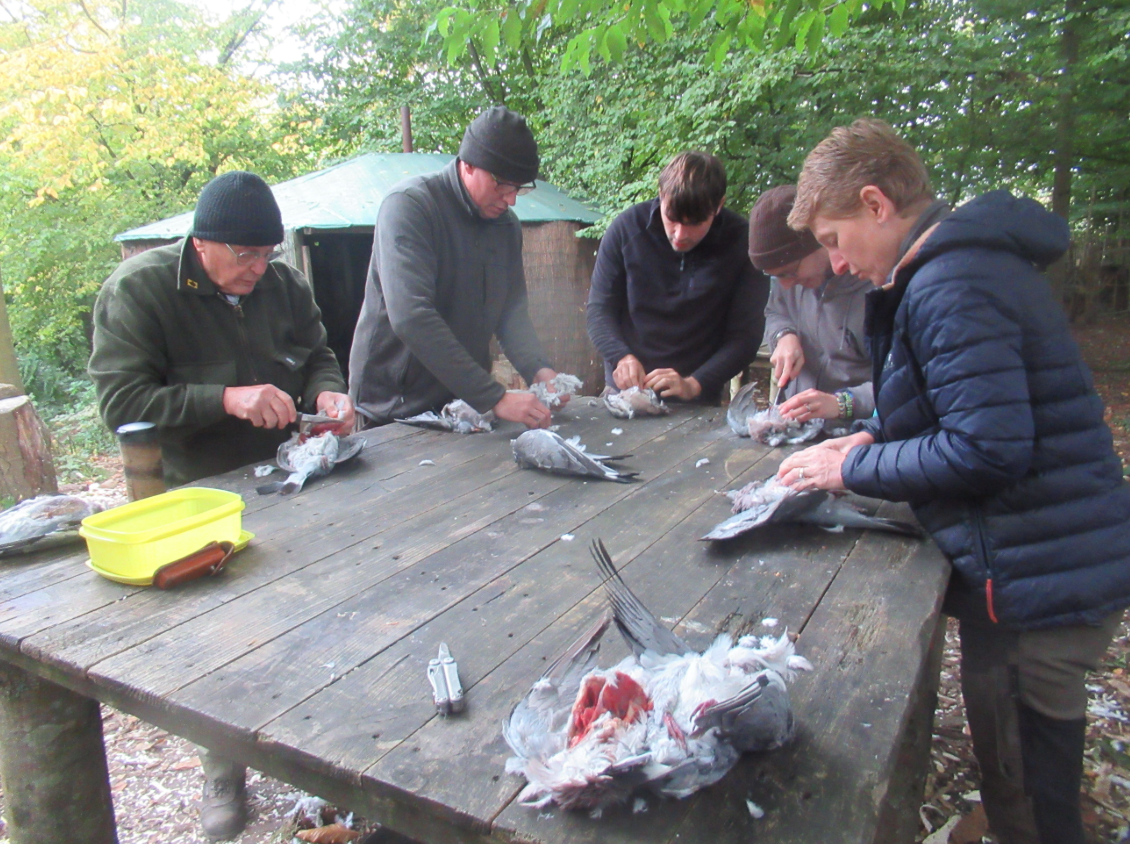Deer Butchery Course in Kent gallery 2