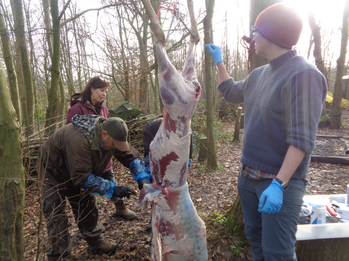 Deer Butchery Course in Kent gallery 4