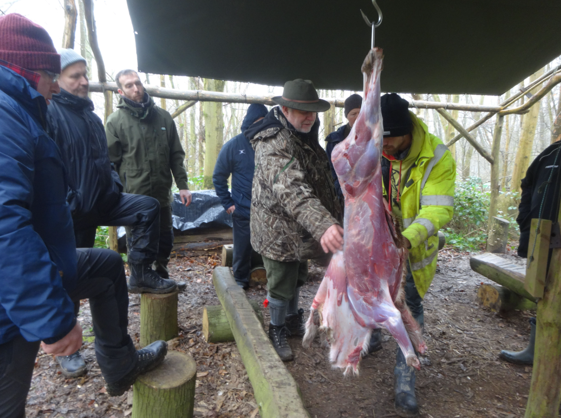 Deer Butchery Course in Kent gallery 7