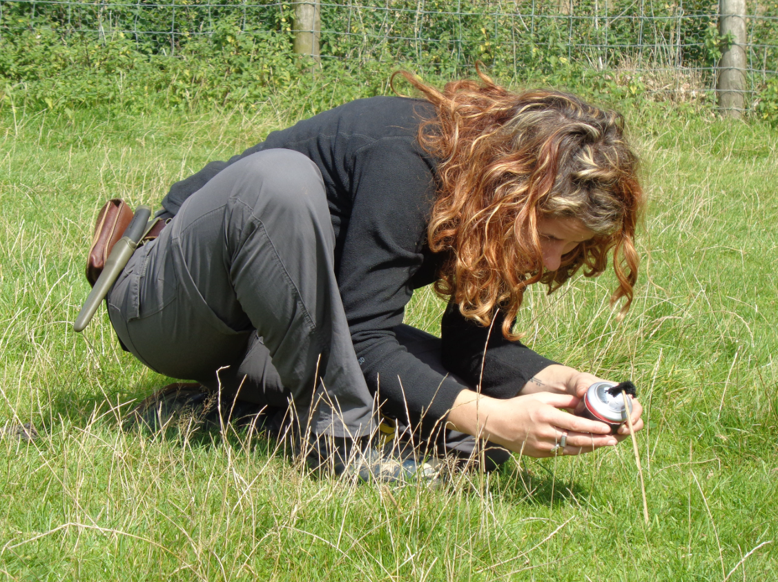 1:1 Bushcraft Training Course in Kent, photo 2