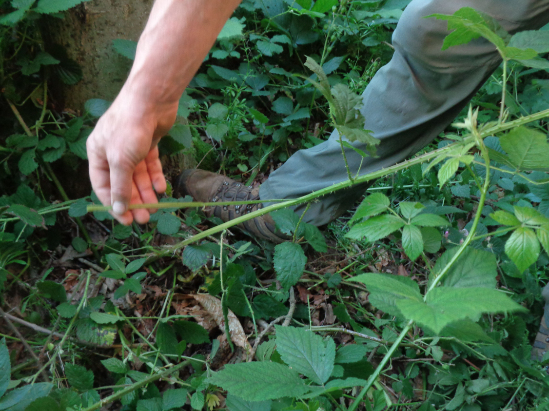 IOL Bushcraft Competency Assessment in Kent gallery 3