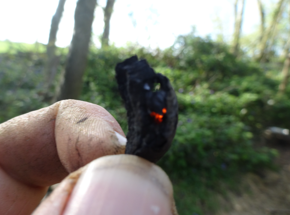 3-Day IOL Bushcraft Competency Course in Kent gallery 8