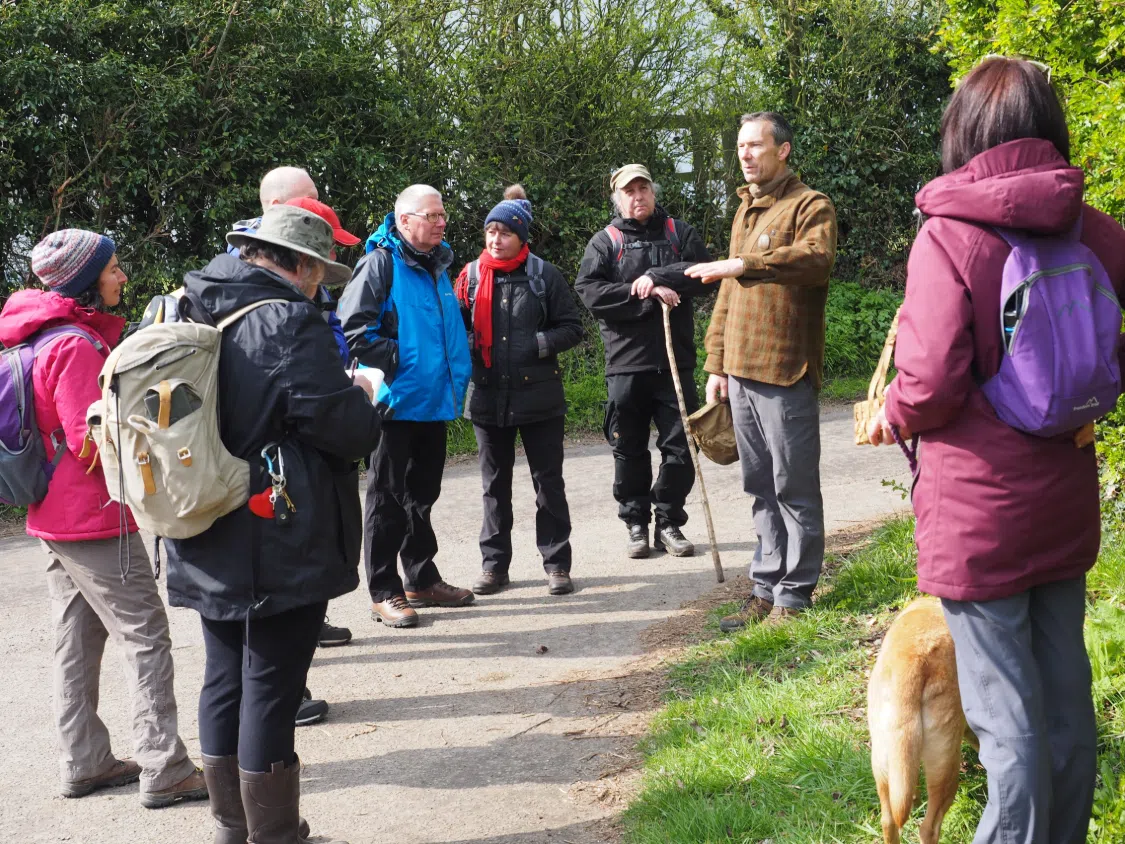 Foraging Course in Kent, photo 3